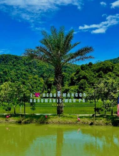 Homestay Kebun Mangga Harumanis Wan Pa (saadiah)