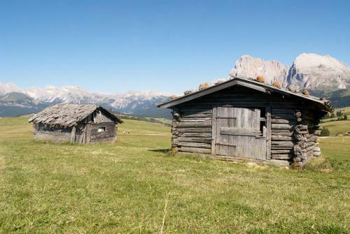 Aparthotel Kastel Seiser Alm