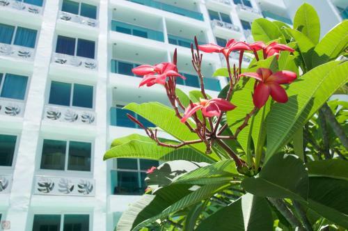 Apartamento Amazon Condo