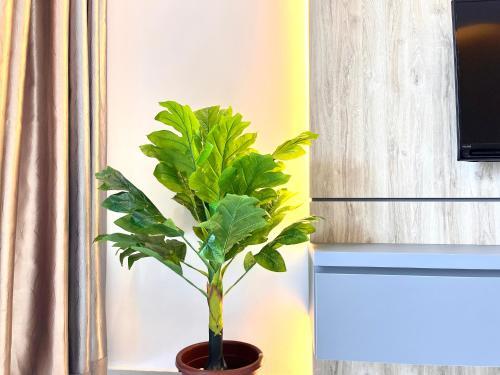 Apartamento Love Home