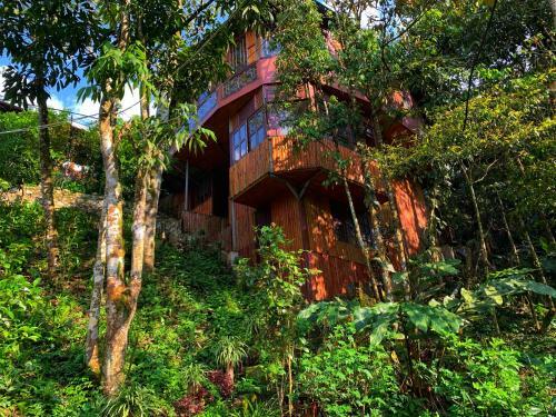 Sapa Green House