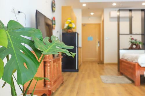 Big Apartment Tms Quy Nh?n