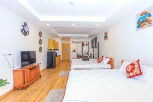 Big Apartment Tms Quy Nh?n