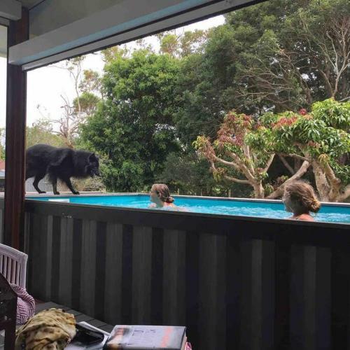 Pet Friendly Home With Pool And Boat Parking.