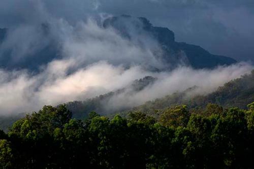 Nalya Kangaroo Valley
