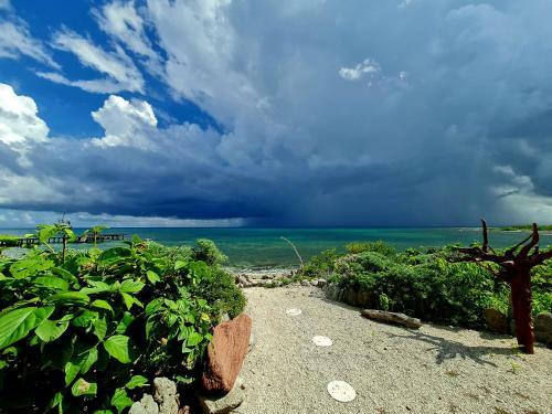 Apartamento Stylish Oceanfront Condo With Pool