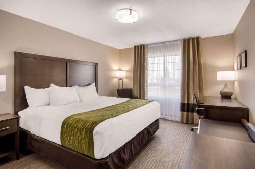 Hotel Comfort Inn & Suites Red Deer