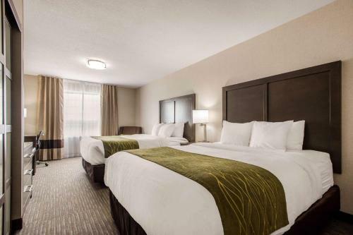 Hotel Comfort Inn & Suites Red Deer