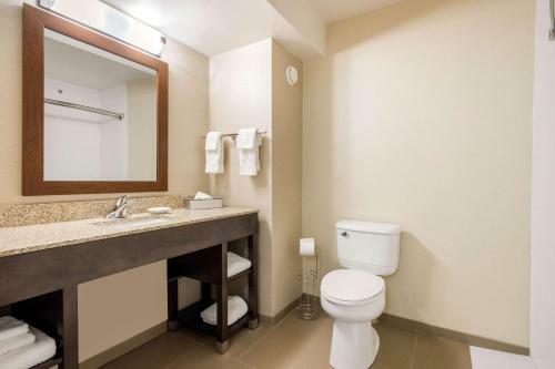 Hotel Comfort Inn & Suites Red Deer
