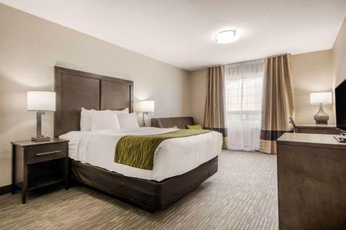 Hotel Comfort Inn & Suites Red Deer