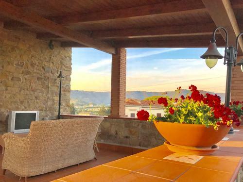 Bed & Breakfast Casa Vacanze Il Cenito
