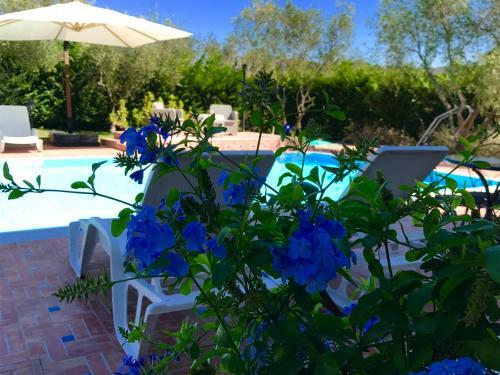 Bed & Breakfast Casa Vacanze Il Cenito