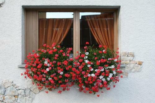 Apartamento Residence Elga