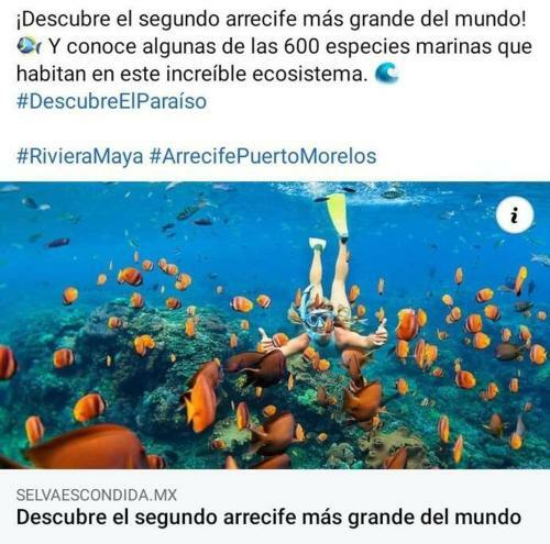 Apartamento Tu Casa Mi Casa Disfruta Un Ambiente Unico
