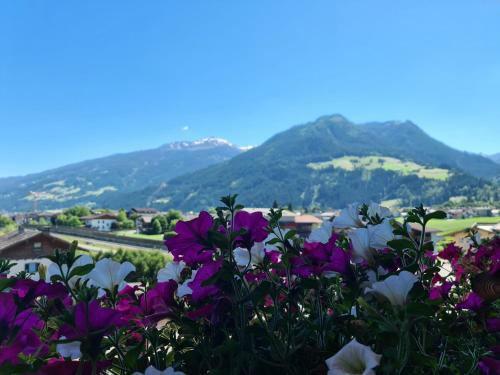 Hotel Alpenhof***