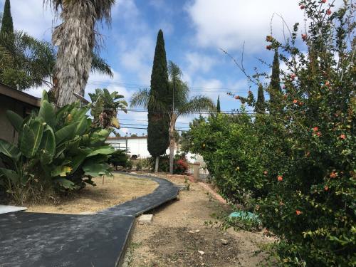 Casablanca And Casita