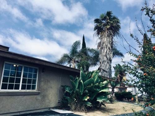 Casablanca And Casita