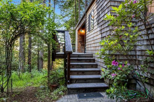 Redwood Retreat