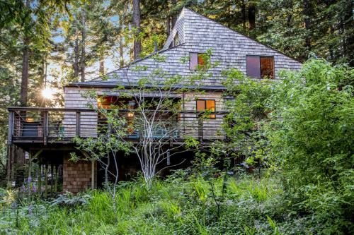 Redwood Retreat