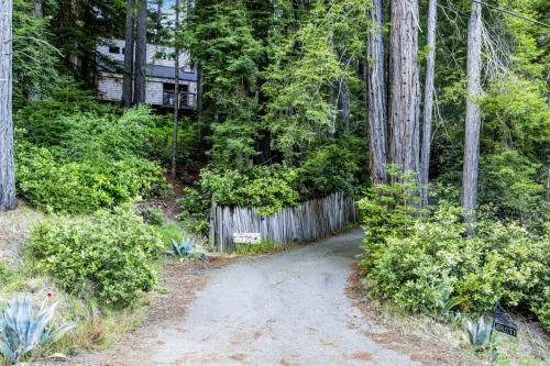Redwood Retreat