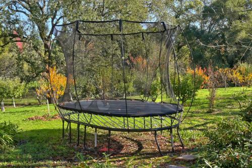 Chateau Chablis- Pool, Hot Tub, Fire Pit, And More!