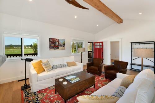 Vineyard Vue