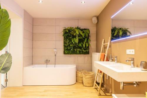 Hotel La Grenouille - Suite De Luxe & Welness Privatif