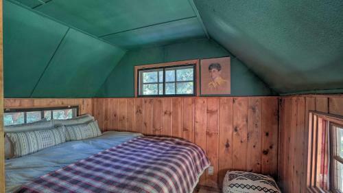Rustic, Forested Cabin With Wraparound Deck!