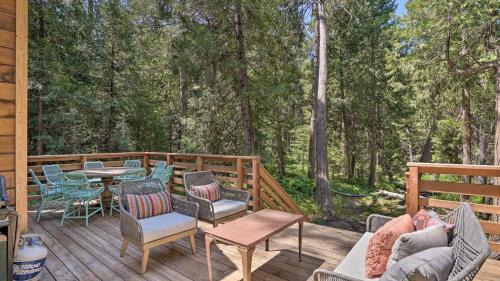 Rustic, Forested Cabin With Wraparound Deck!