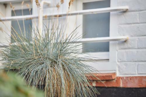 Bed & Breakfast Villa Sandeshove