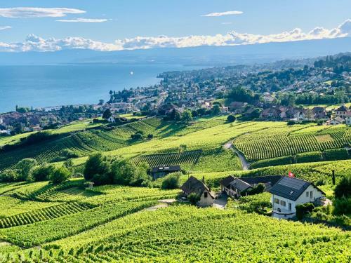 Hostal #lavaux