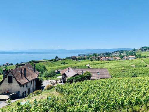 Hostal #lavaux