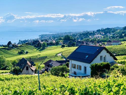 Hostal #lavaux