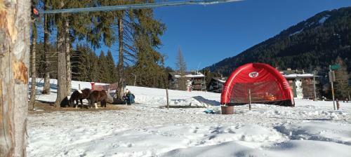 Apartamento Bellevue R�sidence- Studio Piscine, Porte Du Soleil Morgins