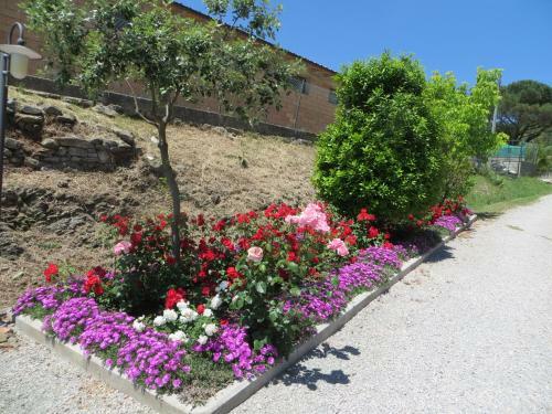 Apartamento Oliveto Di Teodora