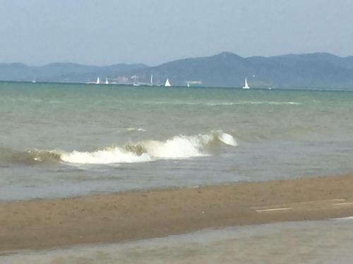 Apartment Il Girasole Grosseto
