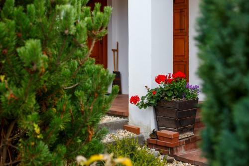 Apartamento �mbitus Vend�gh�z