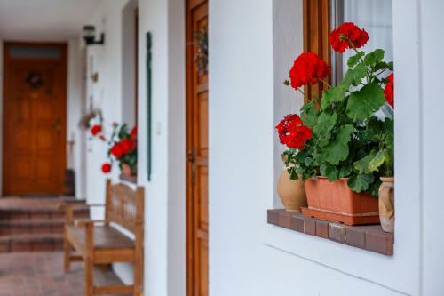 Apartamento �mbitus Vend�gh�z