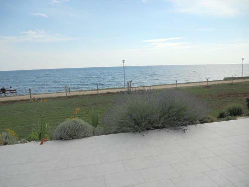 Apartments Alen