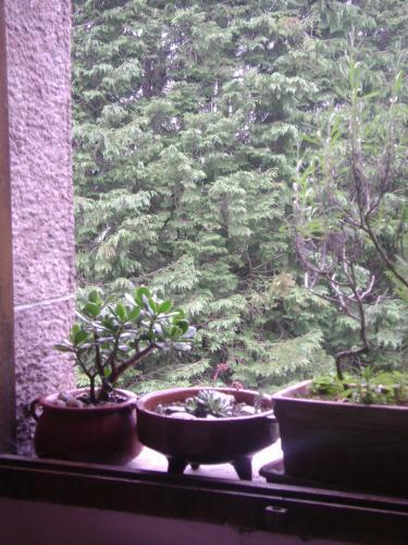 Hostal Venta San Blas