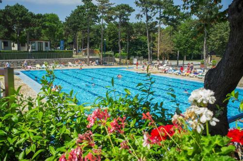 Camping Village Marepineta