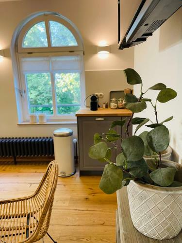 Apartamento Kaiserliche Post Suites Bevensen-ferienwohnung