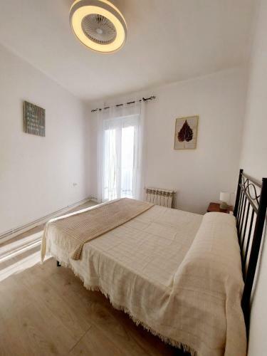 Apartamento Ayneto, En Barbastro...