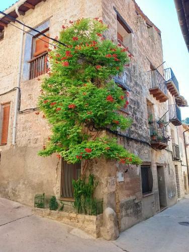 Apartamento Burgu�s