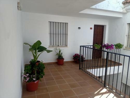 Apartamento Dpablo