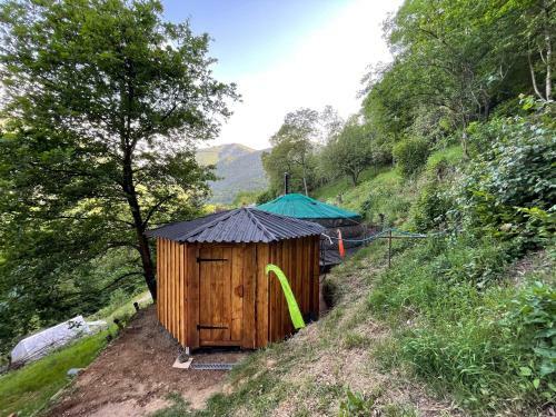 Les Songes Du Ch�ne