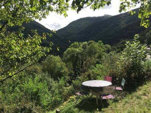 Les Songes Du Ch�ne