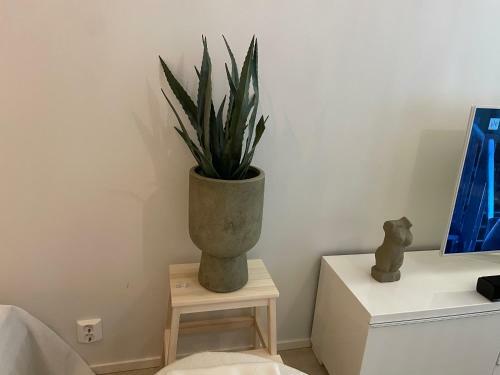 Apartamento Lux Home II