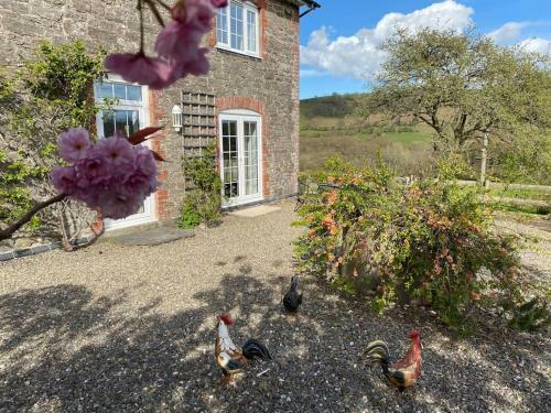 Idyllic Luxury Rural Farmhouse