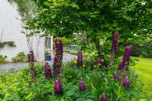 Woodlands Blair Atholl